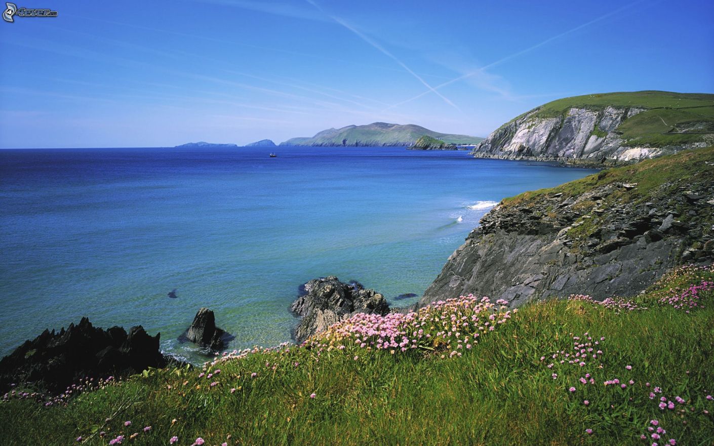 irish rocky coast, flowers, sea 150550
