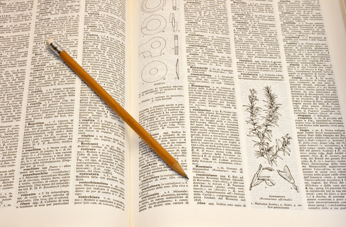 Oxford English Dictionary – Los fascículos y la primera edición, el primer suplemento