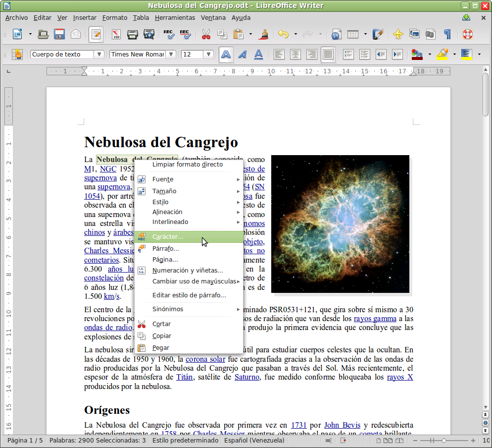 LibreOffice_Writer_4.0.1.2